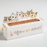 Коробка для макарун кондитерская, упаковка &laquo;Meow or never&raquo;, 18 х 5,5 х 5,5 см
