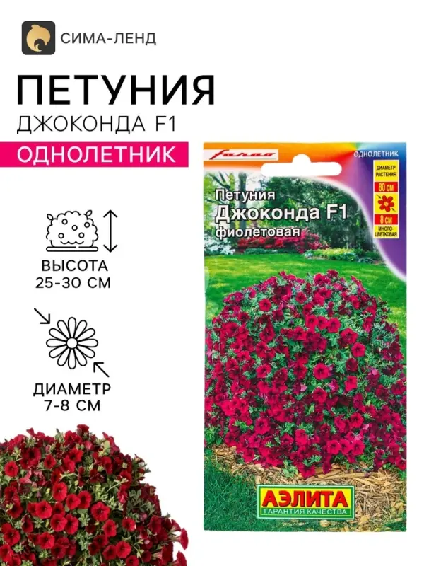 Семена цветов Петуния &laquo;Джоконда&raquo; F1, фиолетовая, драже, 5 шт.