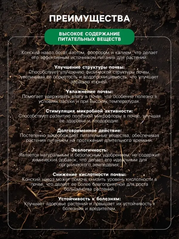 Органическое удобрение Конский навоз, экстракт, канистра, Ивановское, 3 л