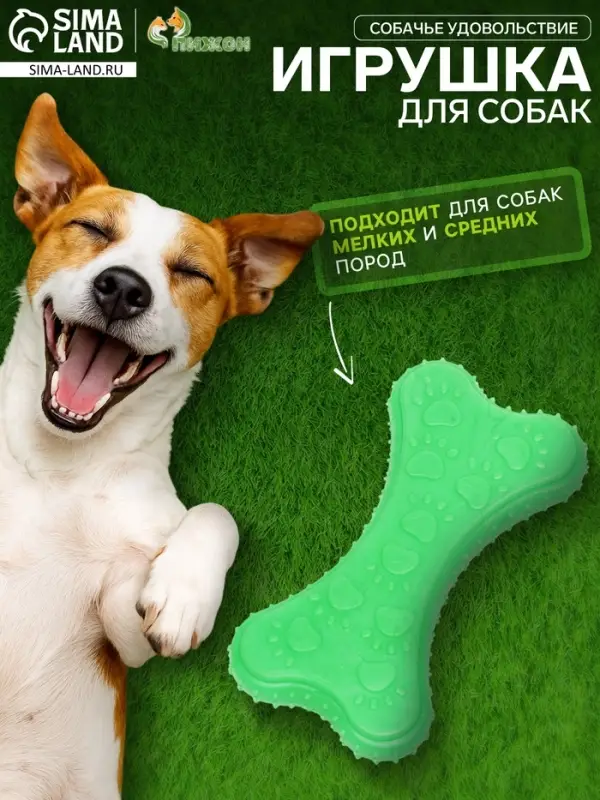 Жевательная игрушка для собак &laquo;Собачье удовольствие&raquo;, 10.5 см, суперпрочная, зелёная