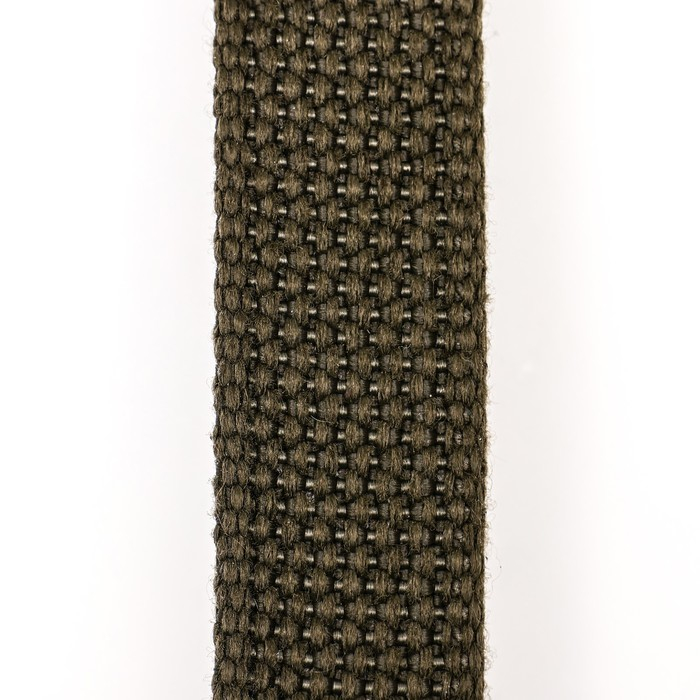 Поводок брезентовый 3 м х 2 см, тёмно-зелёный Поводок брезентовый 3 м х 2 см, тёмно-зелёный