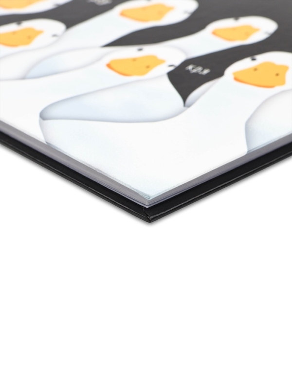 Дневник школьный для 5-11 класса, в твердой обложке, 48 л. "Black"