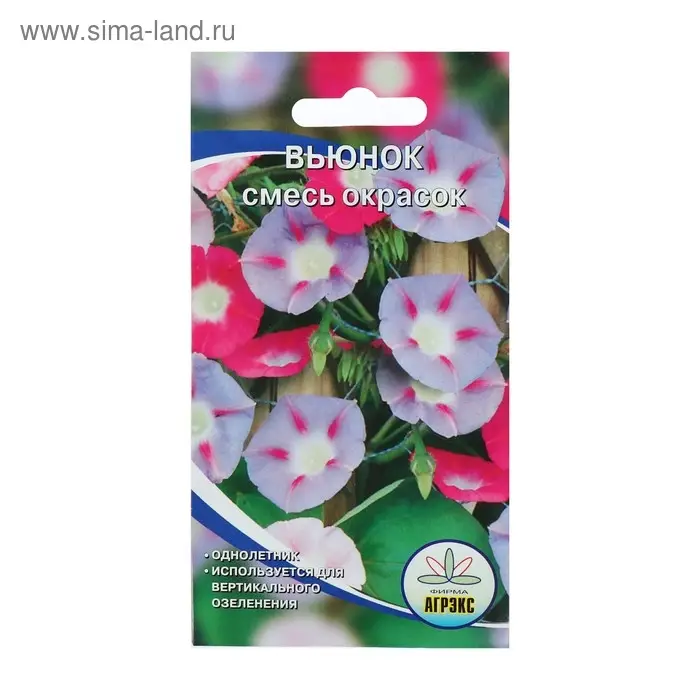 Семена цветов Вьюнок смесь, О, 10 шт Семена цветов Вьюнок смесь, О, 10 шт