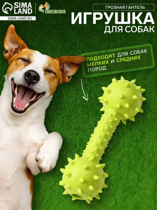 Жевательная игрушка для собак &laquo;Грозная гантель&raquo;, 15&times;5 см, салатовая