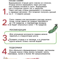 Семена Огурец &laquo;Изящный&raquo;, 0.3 г, &laquo;Рецепты дедушки Никиты&raquo;