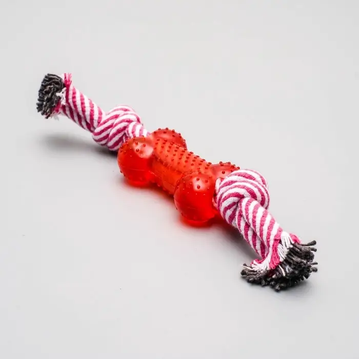 Игрушка канатная, с косточкой, до 90 г, до 26 см, цвет МИКС