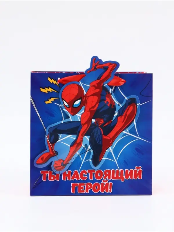 Пакет подарочный &laquo;Супергерой&raquo;, 22 &times; 22 &times; 10 см