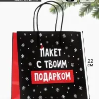 Пакет подарочный новогодний &laquo;Твой подарок&raquo;, 22&times;22&times;11 см