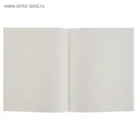 Тетрадь 48 листов в клетку Calligrata «Россия», обложка мелованная бумага, блок №2, белизна 75% (серые листы), МИКС