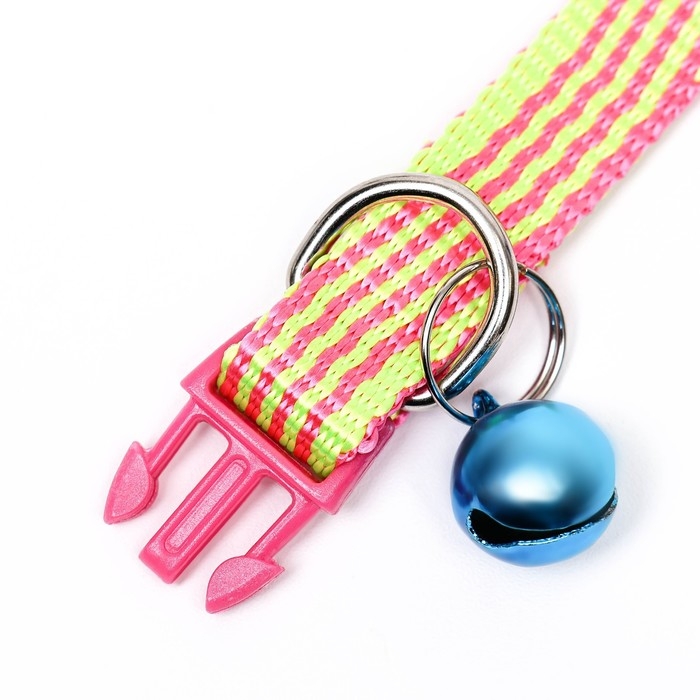 Ошейник нейлоновый Ошейник нейлоновый "Волна", 33 х 1 см, микс цветов