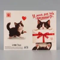 Открытка средняя с конвертом для денег &laquo;Послание для тебя&raquo;, 12&times;18 см, котёнок