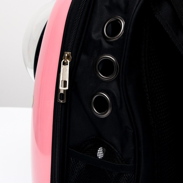 Рюкзак для переноски кошек  Рюкзак для переноски кошек "Кот учёный", с окном для обзора, 32 х 25 х 42 см, розовый