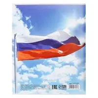 Тетрадь 96 листов в клетку, Calligrata &laquo;Россия&raquo;, серые листы, МИКС