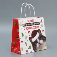 Пакет подарочный новогодний крафтовый &laquo;Котик&raquo;, 22&times;22&times;11 см