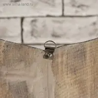 Панно зеркальное "Сова" 1,5х33х60 см