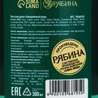 Гель для душа &laquo;Волшебные истории&raquo;, аромат яблочный пунш, 300 мл, URAL LAB