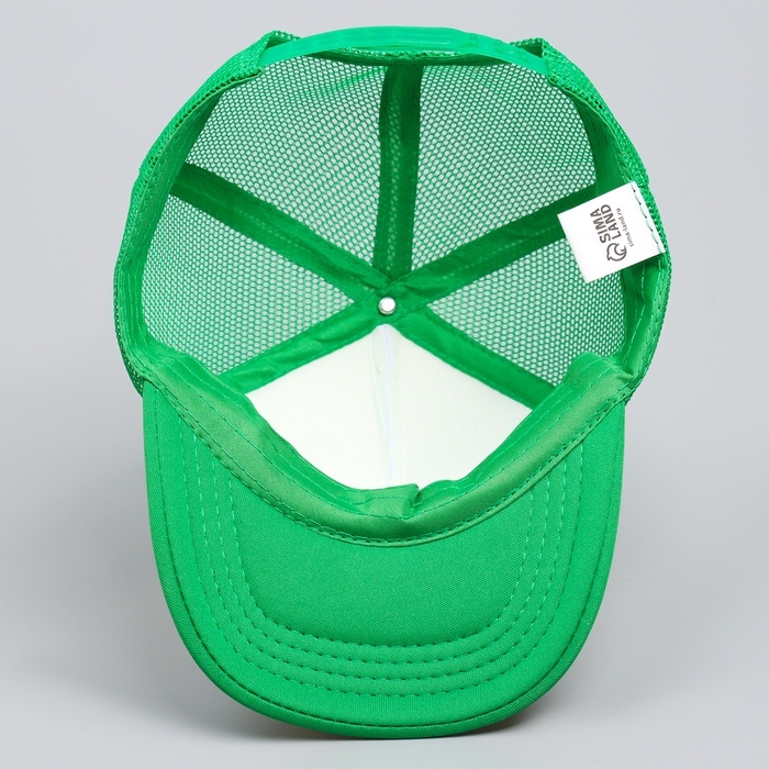 Кепка детская для мальчика «Крутой дино», р-р 52-54, 5-7 лет Кепка детская для мальчика «Крутой дино», р-р 52-54, 5-7 лет