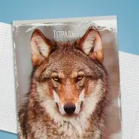 Тетрадь 48 листов в клетку, Calligrata &laquo;Дикие животные&raquo;, МИКС