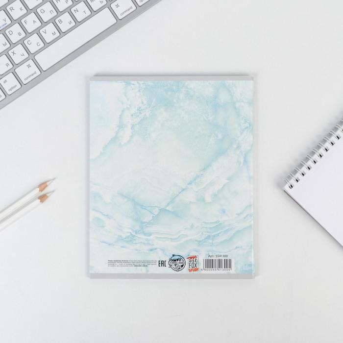 Тетрадь предметная 48 листов, А5, МРАМОР, со справ. мат. «1 сентября: Химия», обложка мелованный картон 230 гр внутренний блок в клетку белизна 96% Тетрадь предметная 48 листов, А5, МРАМОР, со справ. мат. «1 сентября: Химия», обложка мелованный картон 230 гр внутренний блок в клетку белизна 96%