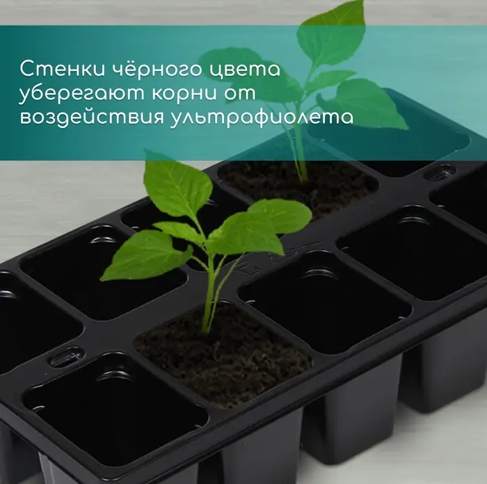 Кассета для рассады Greengo на 10 ячеек, по 100 мл, пластиковая, чёрная, 25×14×5 см