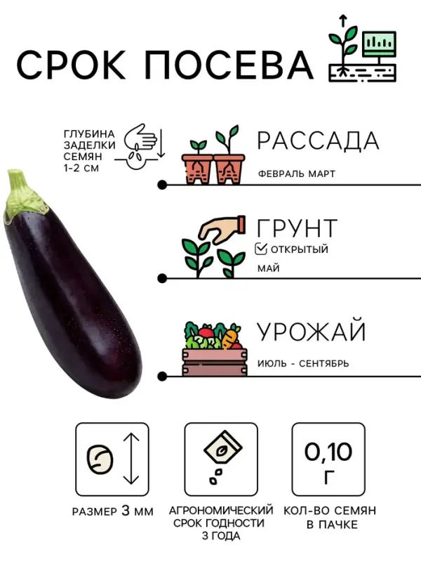 Семена Баклажан &laquo;Король Рынка&raquo;, 0.1 г, &laquo;Рецепты дедушки Никиты&raquo;