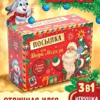 Подарочный набор на новый год &laquo;Посылка от Деда Мороза&raquo;, книги, игрушка и пазл МИКС