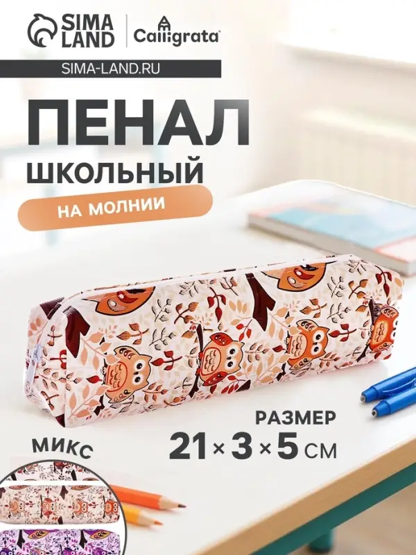 Пенал школьный Calligrata &laquo;Совы&raquo;, на молнии, 1 отделение, с принтом, МИКС