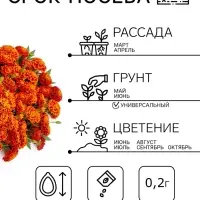 Семена Цветов Бархатцы &laquo;Имеретинский шафран&raquo;, отклоненные, ц/п, 0.2 г