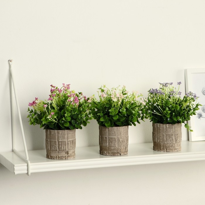 Бонсай в горшке Бонсай в горшке "Фиалка химера" 8х17 см, микс