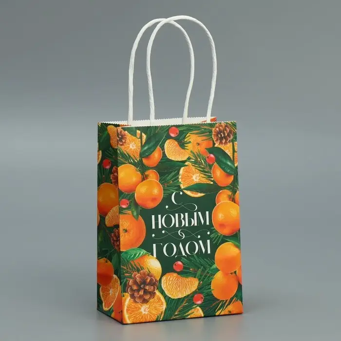 Пакет подарочный новогодний крафтовый «Мандариновое настроение», 15 х 10 х 6 см Пакет подарочный новогодний крафтовый «Мандариновое настроение», 15 х 10 х 6 см