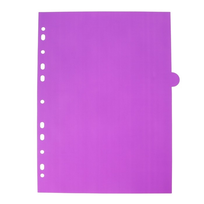 Разделитель листов A4 (245 x 305 мм), цветовой, 12 листов, Разделитель листов A4 (245 x 305 мм), цветовой, 12 листов, "deVENTE. Pastel", полипропилен 140 мкм, индивидуальная упаковка