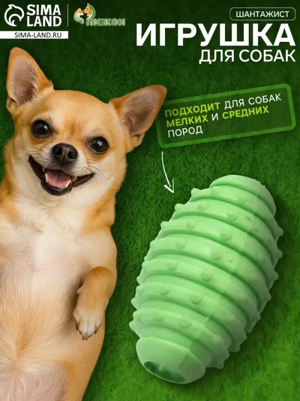 Жевательная игрушка для собак &laquo;Шантажист&raquo;, 10 см, TPR, зелёная