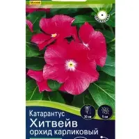 Семена цветов Катарантус Хитвейв орхид карликовый  Спецсерия Hem Genetics, Ц/П,5 шт.