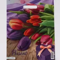 Пакет "Презент, полиэтиленовый с вырубной ручкой 30х40 см, 60 мкм Пакет "Презент, полиэтиленовый с вырубной ручкой 30х40 см, 60 мкм