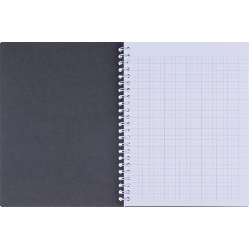 Бизнес-тетрадь, BS, А5, 80л., клетка, спираль. Botanica, агава N4185