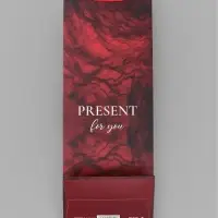 Пакет ламинированный под бутылку Present for you,13&times;36&times;10 см