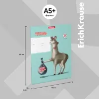 Тетрадь 24 листов в линейку, ErichKrause "Лама", обложка мелованный картон, блок офсет 100% белизна, МИКС