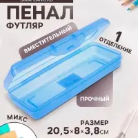 Пенал - футляр Calligrata &laquo;Школьный&raquo;, 80&times;205&times;38 мм, полупрозрачный. пластиковый, МИКС