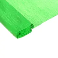 Бумага крепированная 50&times;200 см, в рулоне, 32 г/м&sup2;, светло-зелёная