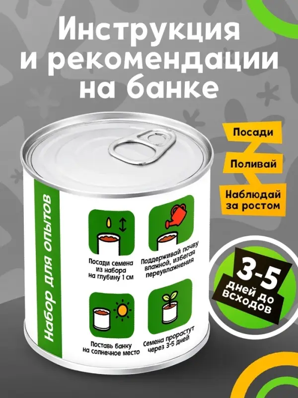 Набор для опытов ЭВРИКИ &laquo;Мой мини-сад&raquo;, огурец