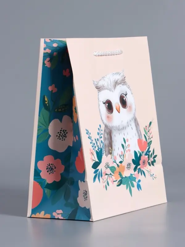 Пакет подарочный "Мудрая совушка" ламинированный 18 х 22,3 х 10 см