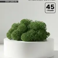 Мох стабилизированный &laquo;Салатовый&raquo; 45 г (&plusmn;5 г).
