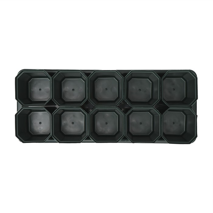 Набор для рассады: стаканы по 300 мл (10 шт.), поддон 41 × 17 см, цвет МИКС Набор для рассады: стаканы по 300 мл (10 шт.), поддон 41 × 17 см, цвет МИКС