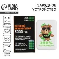 Зарядное устройство &laquo;100% заряд&raquo;, 5000мА