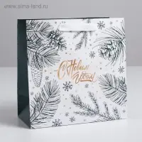Пакет подарочный ламинированный квадратный «Еловые шишки», 22×22×11 см Пакет подарочный ламинированный квадратный «Еловые шишки», 22×22×11 см