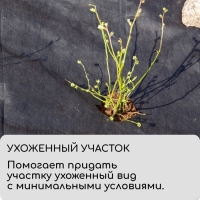 Круг приствольный, d = 1,2 м, плотность 60 г/м², спанбонд с УФ-стабилизатором, набор 2 шт., чёрный, Greengo, Эконом 20%