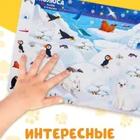 Книга картонная с окошками &laquo;Найди, открой, покажи!&raquo; 10 стр.