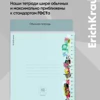 Тетрадь 18 листов в клетку ErichKrause Ruler Hobb, 60 г/м&sup2;, обложка мелованный картон, МИКС