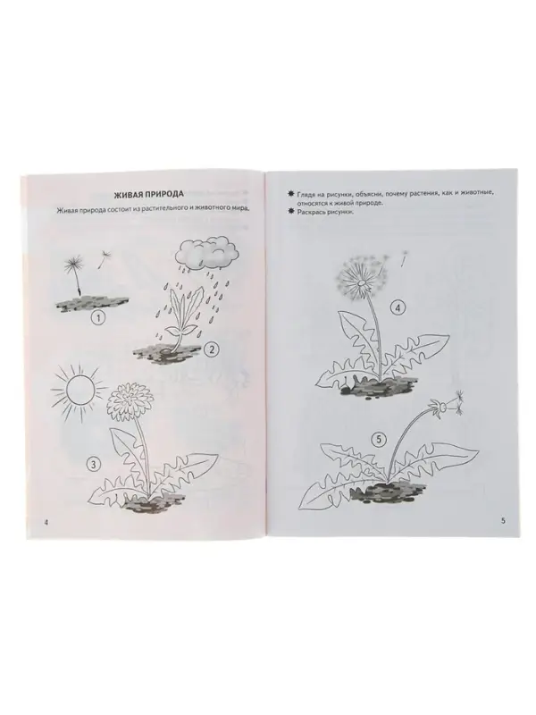Рабочая тетрадь для детей 5-6 лет &laquo;Знакомимся с окружающим миром&raquo;, Бортникова Е.