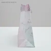 Пакет подарочный ламинированный, упаковка, &laquo;На счастье&raquo;, 22&times;17.5&times;8 см